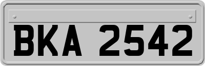 BKA2542