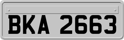 BKA2663