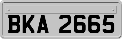 BKA2665