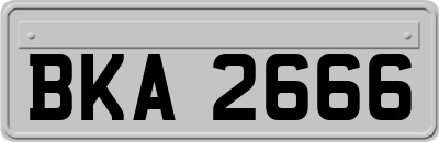 BKA2666