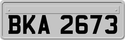 BKA2673