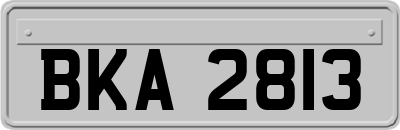 BKA2813