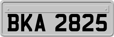 BKA2825