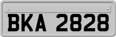 BKA2828