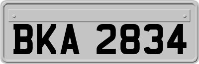 BKA2834