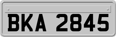 BKA2845