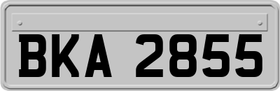 BKA2855