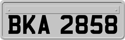 BKA2858