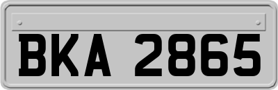 BKA2865