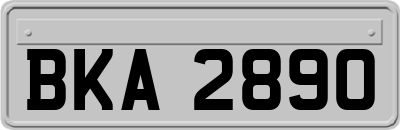BKA2890