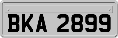 BKA2899
