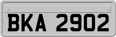 BKA2902