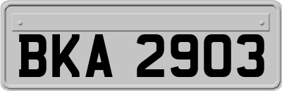 BKA2903