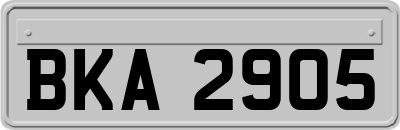 BKA2905