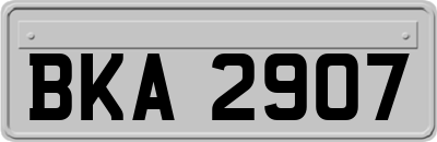 BKA2907