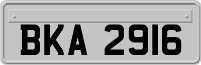 BKA2916