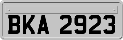 BKA2923