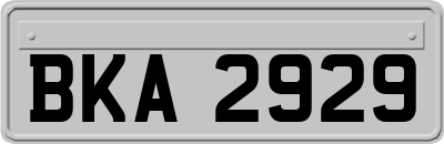 BKA2929