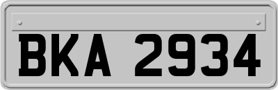 BKA2934