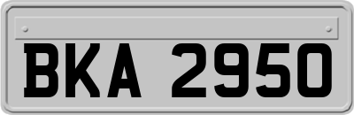 BKA2950