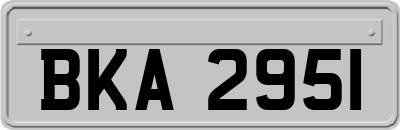 BKA2951