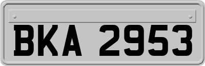 BKA2953