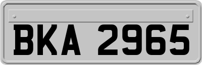 BKA2965