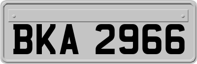 BKA2966