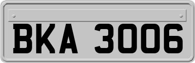 BKA3006