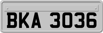 BKA3036