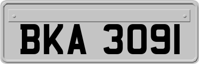 BKA3091