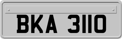 BKA3110
