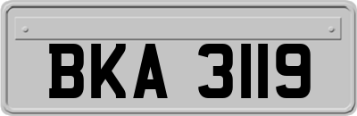 BKA3119