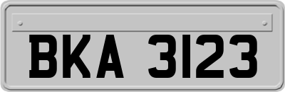 BKA3123