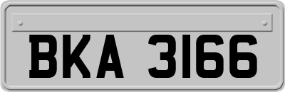 BKA3166