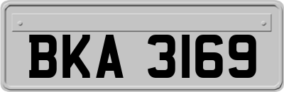 BKA3169