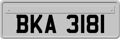 BKA3181