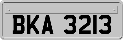 BKA3213