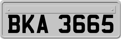 BKA3665