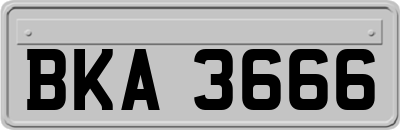 BKA3666