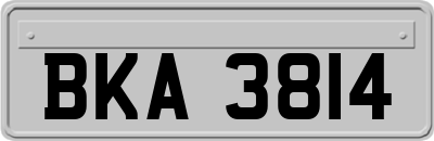 BKA3814