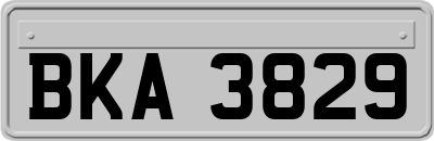 BKA3829
