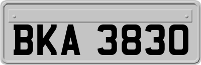 BKA3830