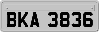 BKA3836