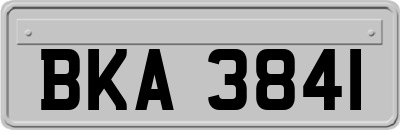 BKA3841