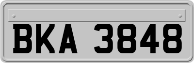 BKA3848