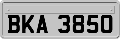 BKA3850