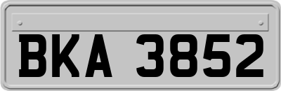 BKA3852