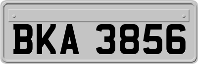 BKA3856