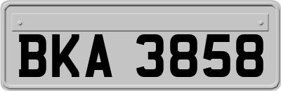 BKA3858